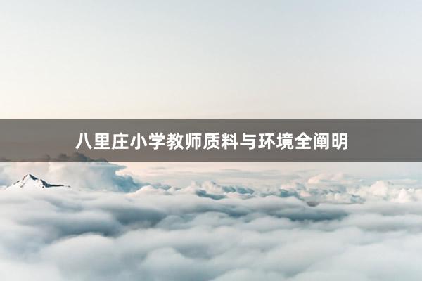 八里庄小学教师质料与环境全阐明